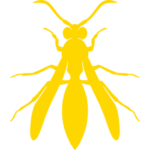 wasp icon