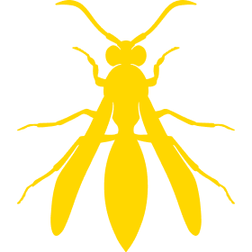 wasp icon