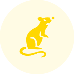 Rats icon